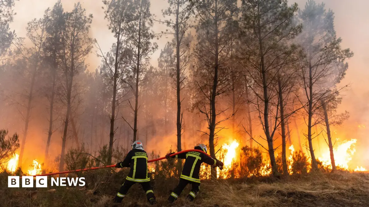 Over 300,000 Evacuated as Wildfires Engulf Greek Homes, Businesses