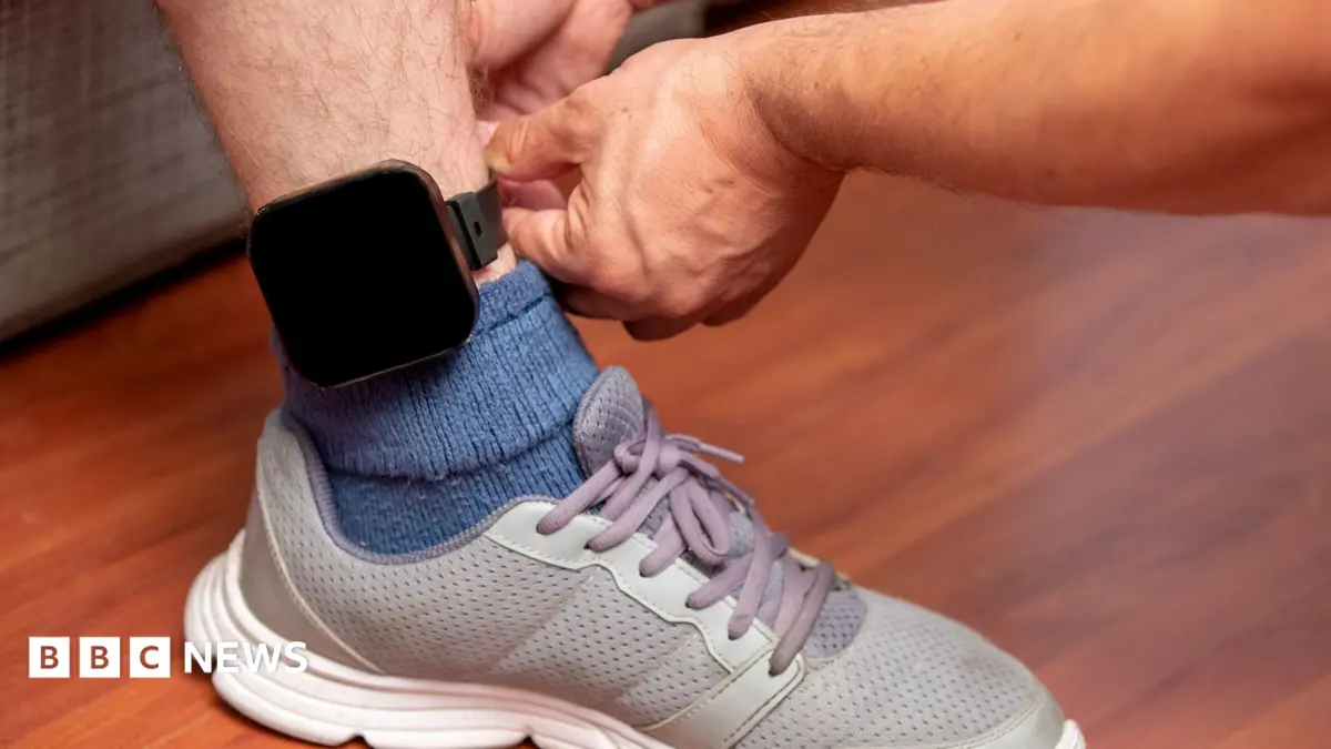 Serious Delays in Electronic Tagging Endanger Victims, Ministry of Justice Report Reveals
