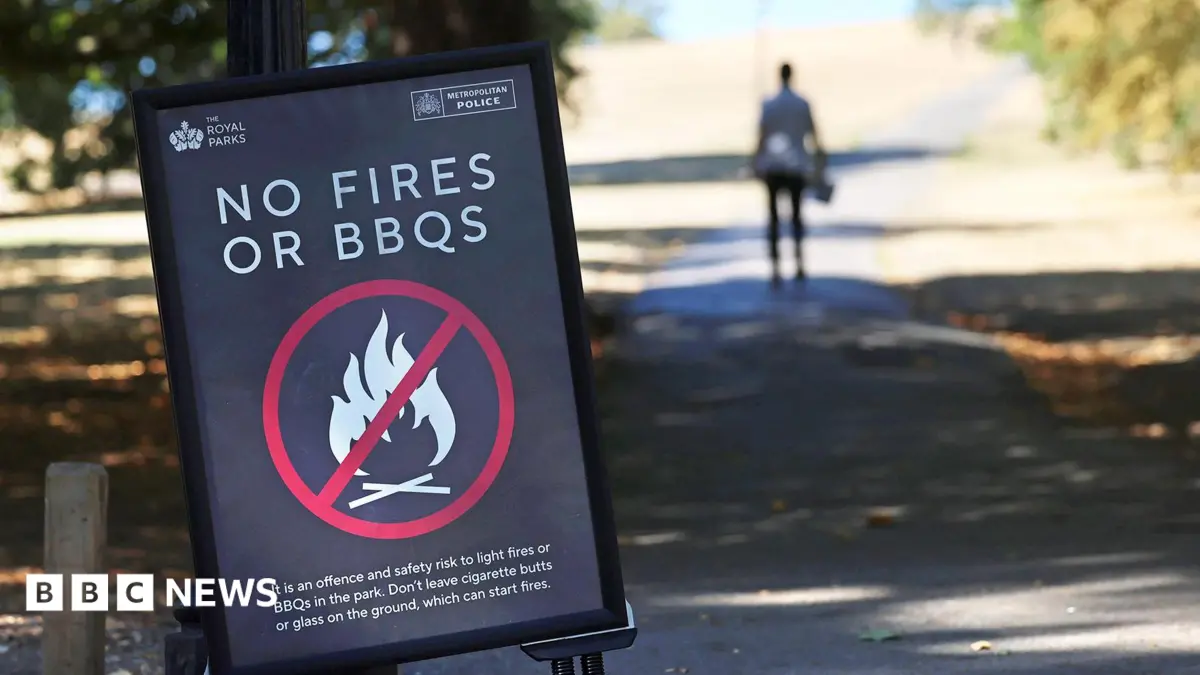 Disposable Barbecues Banned Across England, Military Assists Wildfire Containment Efforts