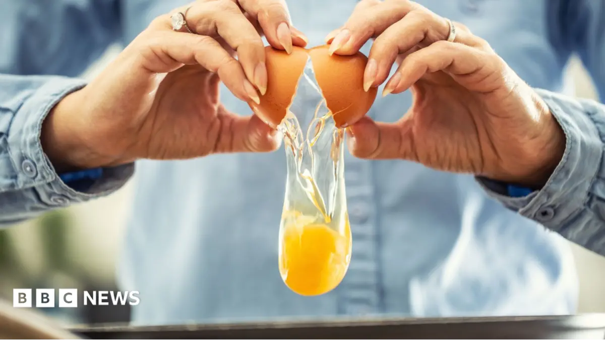 UK Salmonella Cases Reach 500, Imported Eggs Under Scrutiny