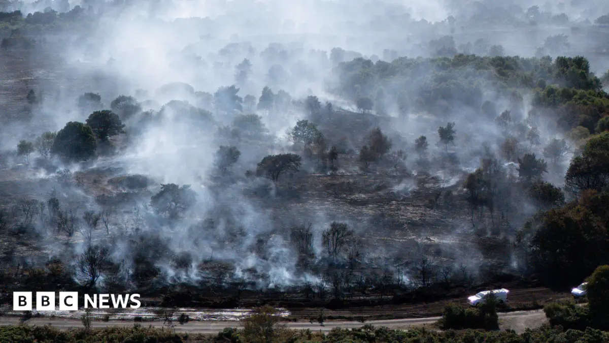 Suffolk Heathland Fire Stood Down from Major Incident Status by Fire Officials
