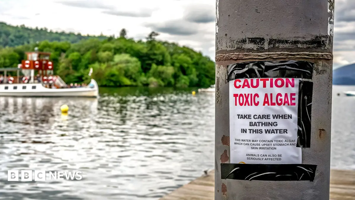 Environment Agency Report: 85% of English Rivers and Lakes Fail Water Quality Standards