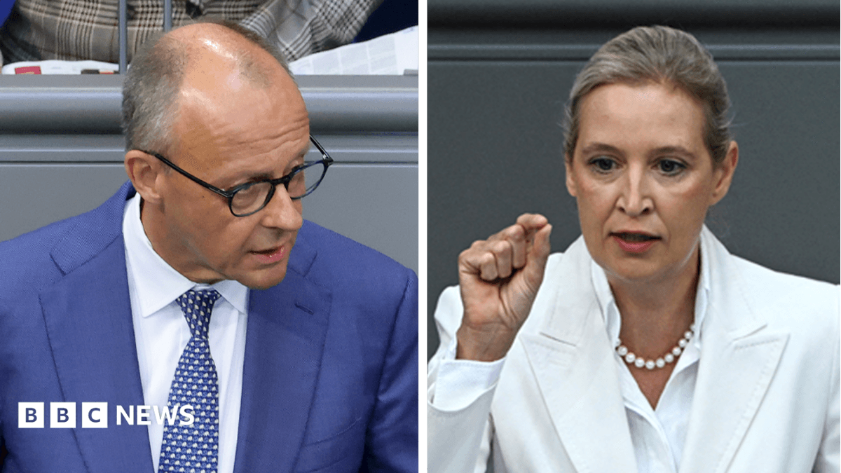 German Opposition Leader Merz Condemns AfD 'Ethnic Cleansing' Migration Policy