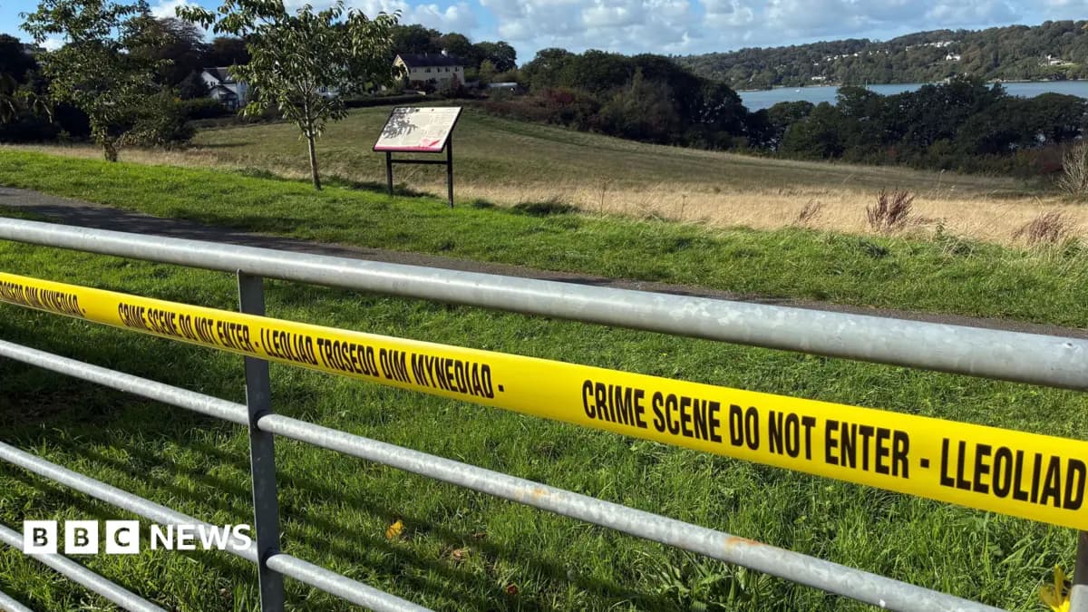 Essex Police Appeal for Mother of Newborn Baby Found on Mersea Island Shoreline