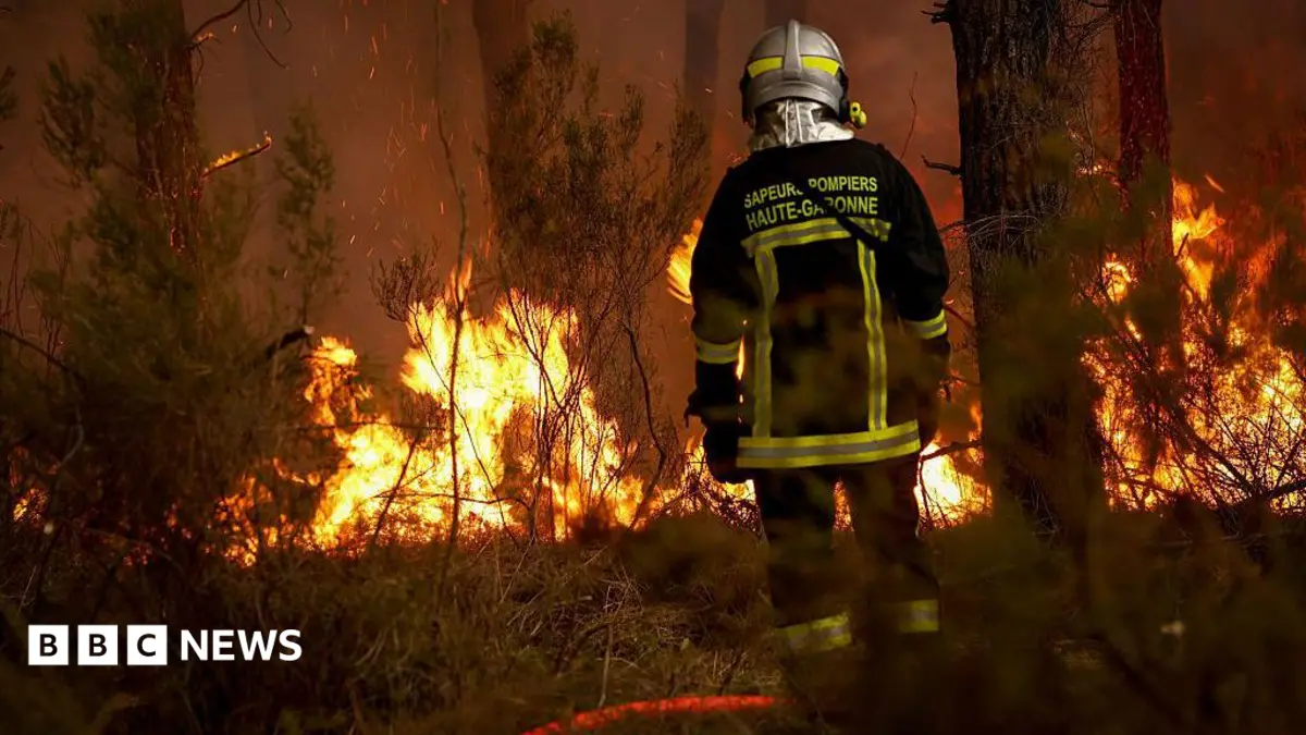 European Wildfires Force Evacuations, Disrupt Travel Across France and Spain