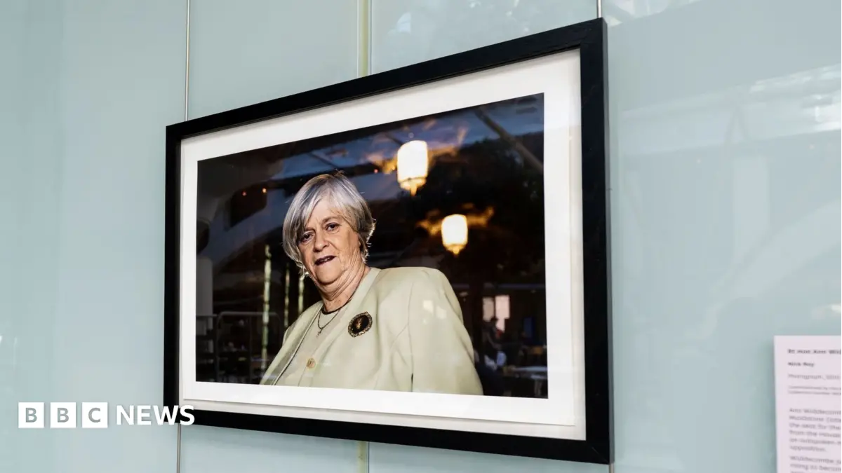Ann Widdecombe Portrait Installed in Parliament for Returning Members