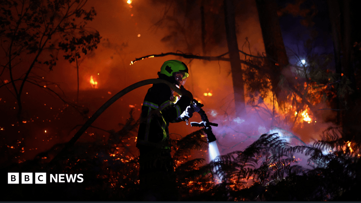 France Evacuates 55,000 as Bordeaux Region Wildfires Produce 'Fire Whirlwinds'