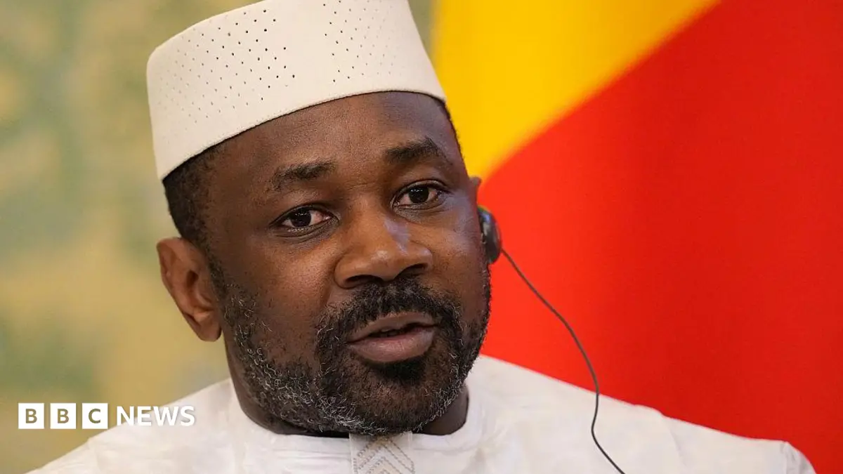 Mali Pardons Yann Vezilier, French National Accused of Coup Plot