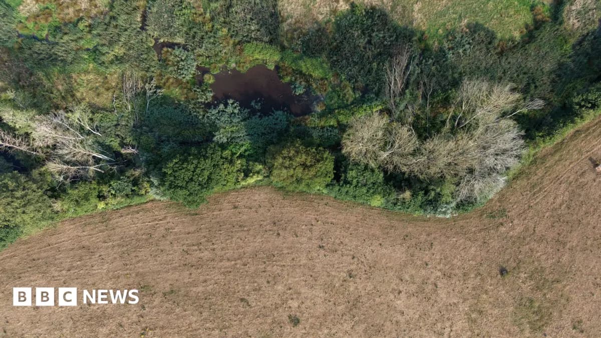 Water Minister Calls for Immediate Action as Drought Declared Across Southern England