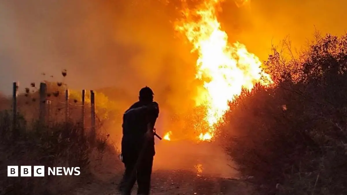 Algerian President Proposes Death Penalty for Forest Arsonists Amid Deadly Blazes