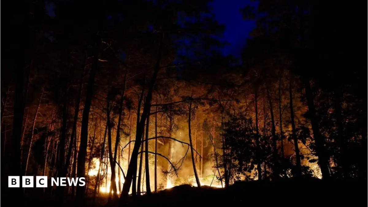 Firefighting Planes Deployed to Tackle Exceptional Wildfires Near Paris