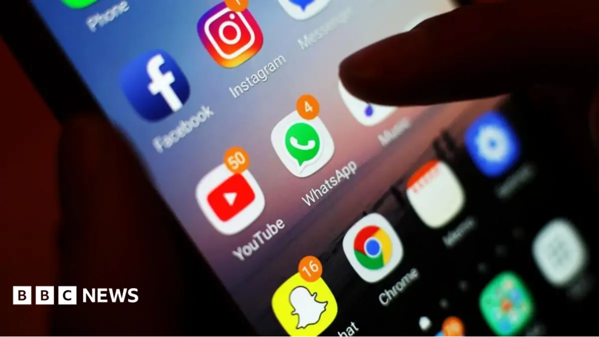 Gabon Government Restores Social Media Access After Eight-Month Ban