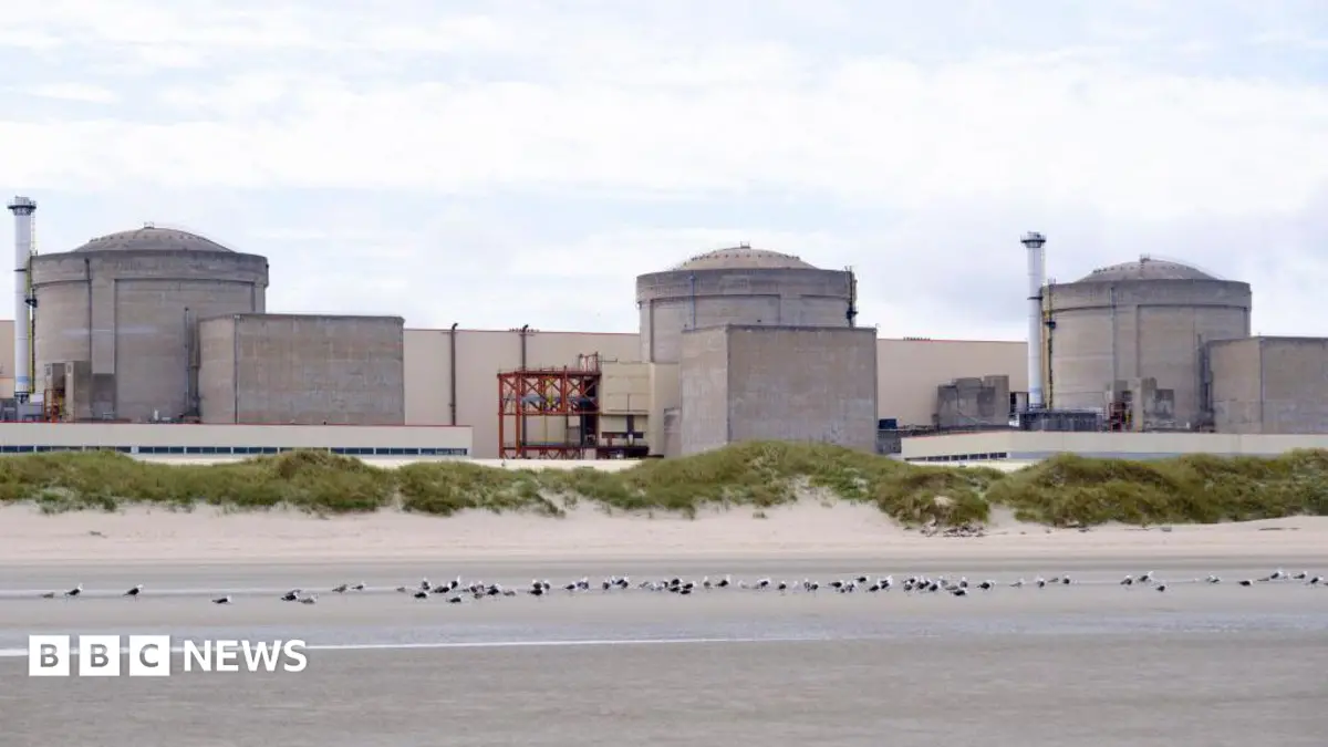 Jellyfish Swarm Prompts Partial Shutdown at France's Gravelines Nuclear Plant
