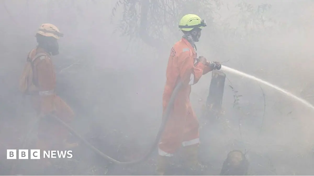 Indonesia Records Over 170,000 Respiratory Illness Cases Amid Sumatra Haze Crisis