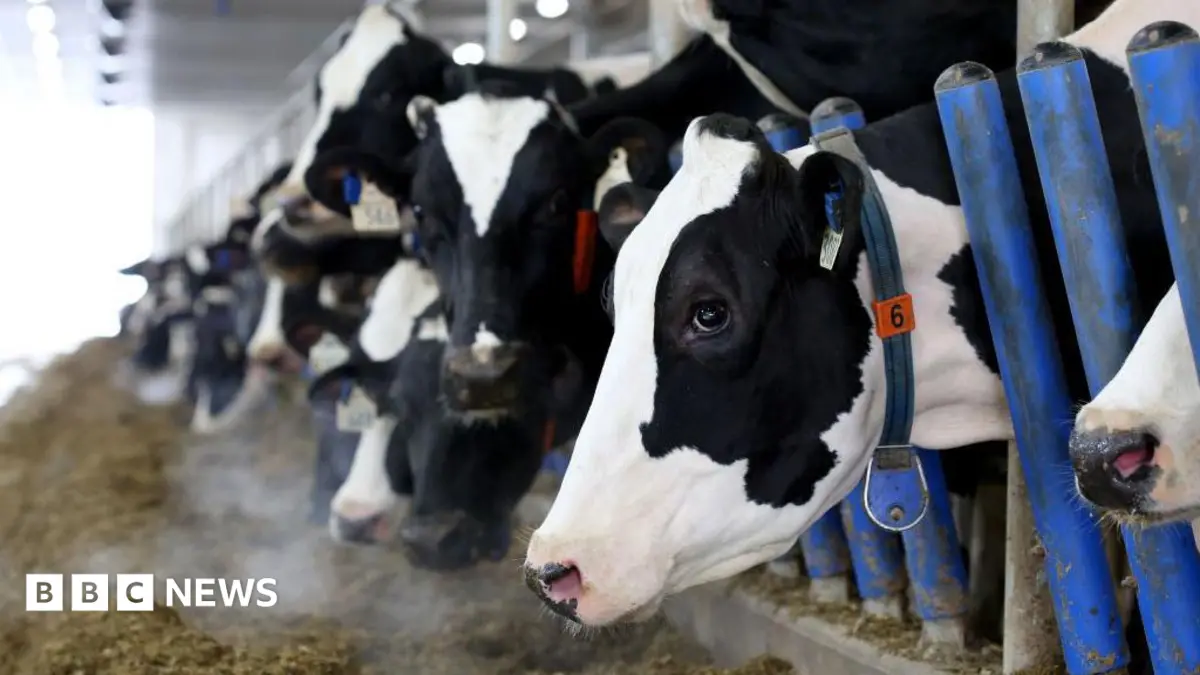 Canada's Dairy Sector Faces US Tariff Threats as Trump Singles Out Supply Management