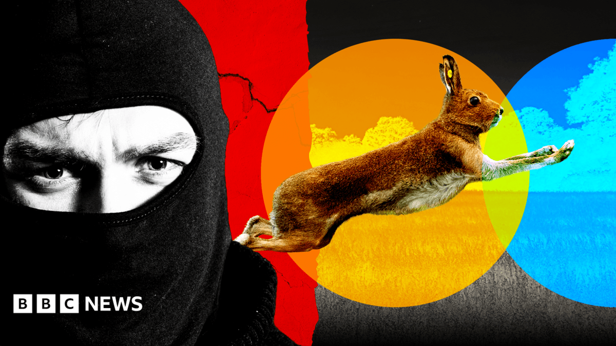 Farmers Detail Violent Attacks as Illegal Hare Coursing Reports Approach 9,000