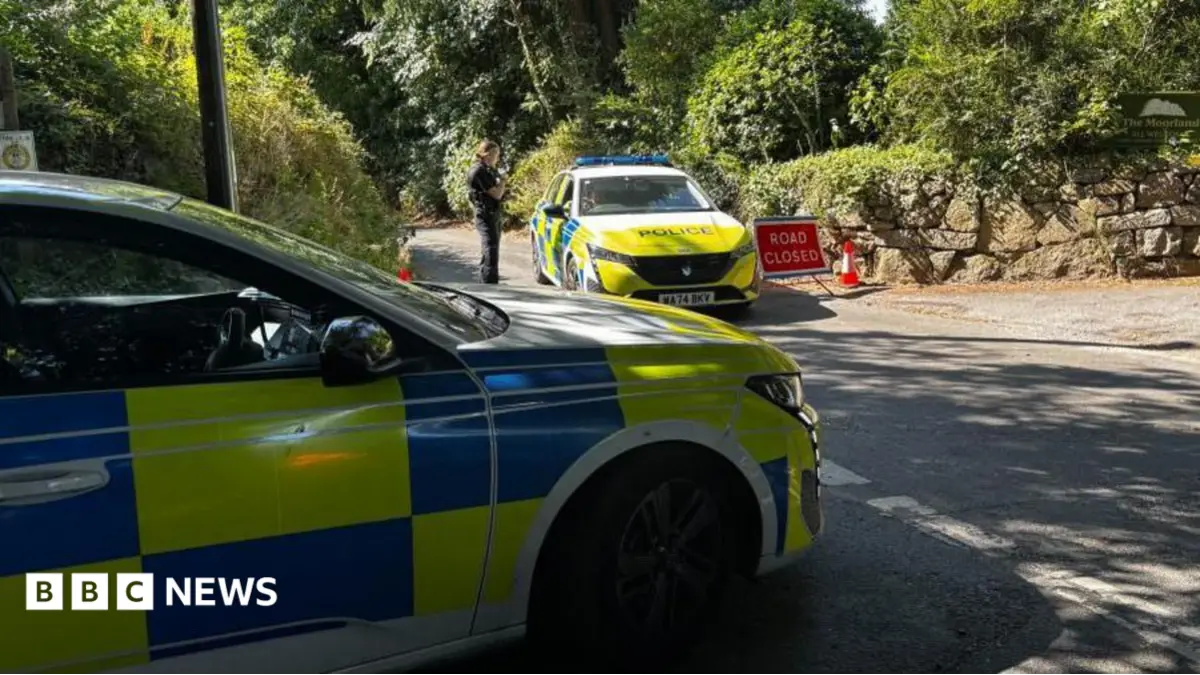 Investigation into Ann Widdecombe's Death Prompts Scrutiny of MP Security Measures