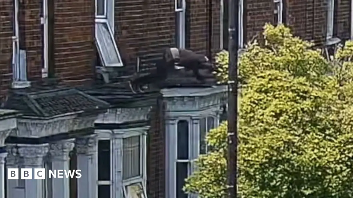 Five Individuals Imprisoned for Kidnapping and Assault After Victim Escapes from Window