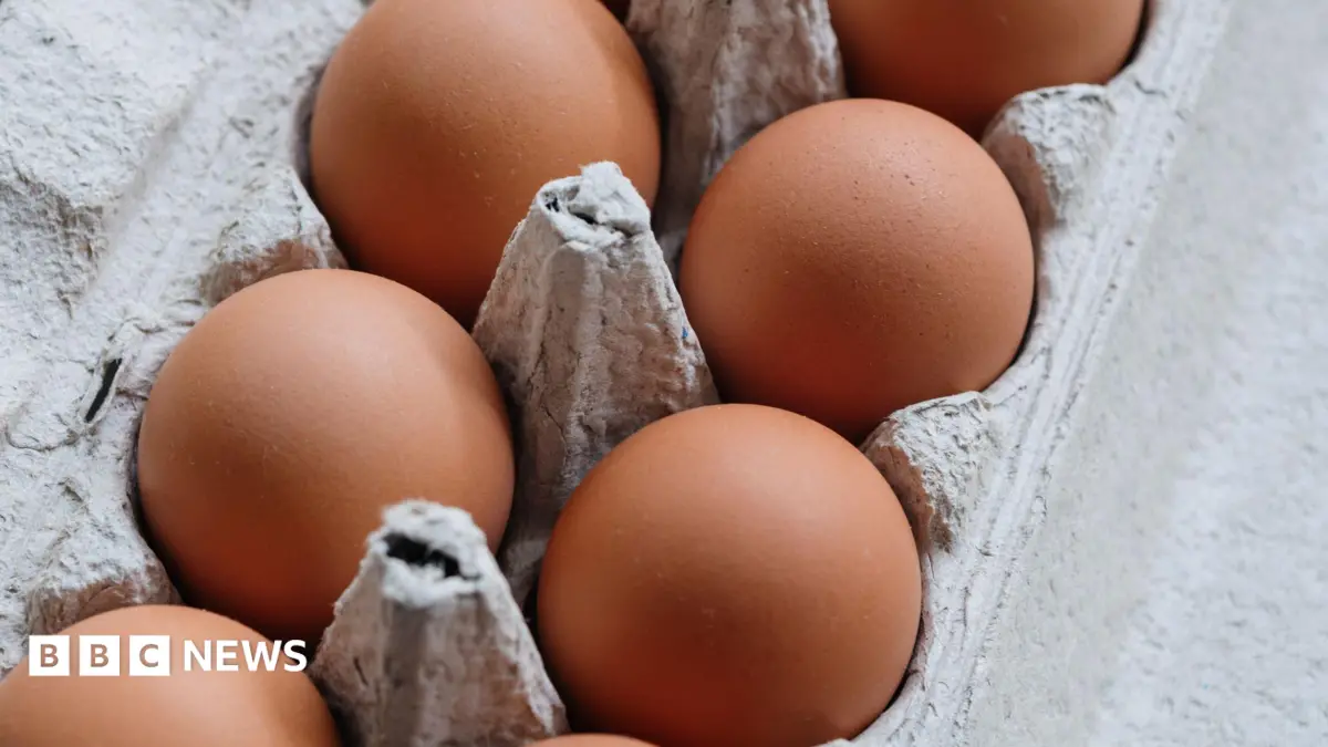 One Fatality, Hundreds Infected in UK Salmonella Outbreak Traced to Imported Eggs