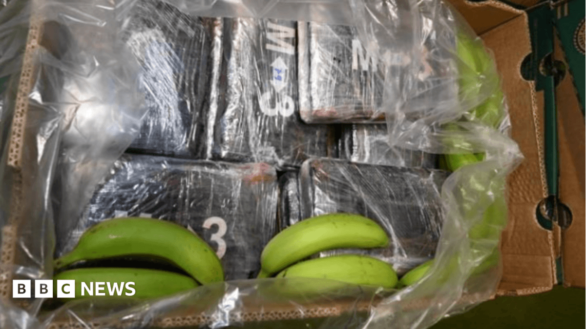 Border Force Seizes £232 Million Cocaine from Southampton Banana Shipment