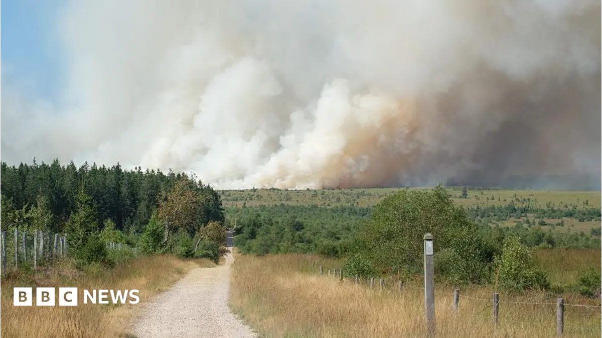 Belgian Firefighters Combat Worst Wildfire in Hoge Kempen National Park