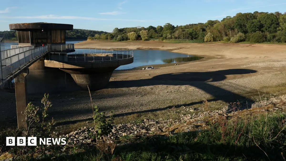 Parts of Southern England Declare Severe Drought Following Arid Summer Conditions