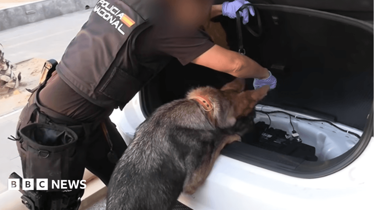 Spanish Police Arrest 78 Individuals in Major Drug, Migrant, and Weapons Trafficking Bust