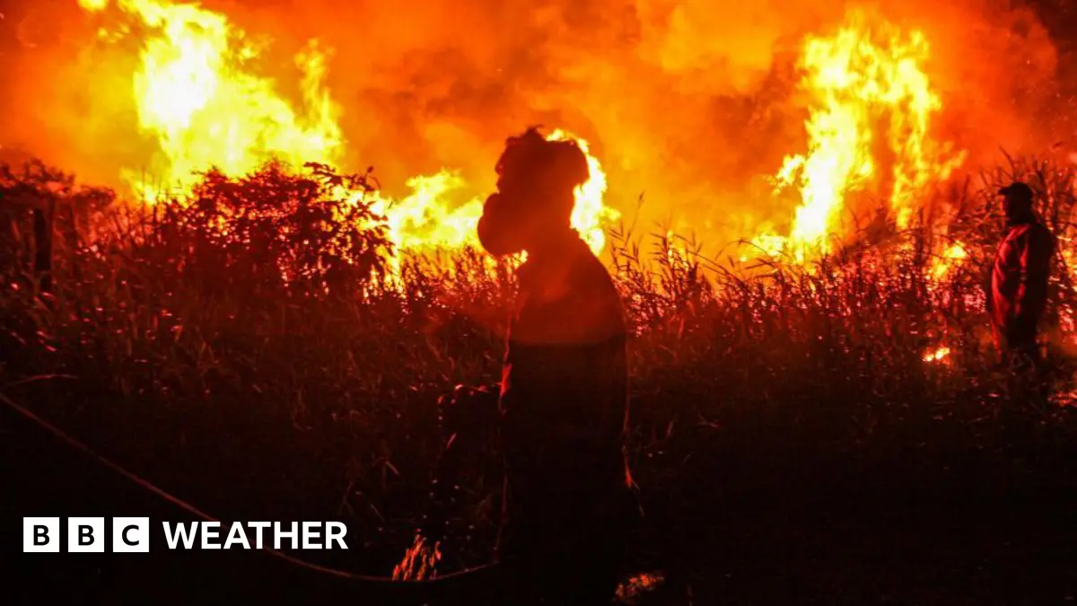 Global Temperatures Set to Break Records as El Ni
o Strengthens