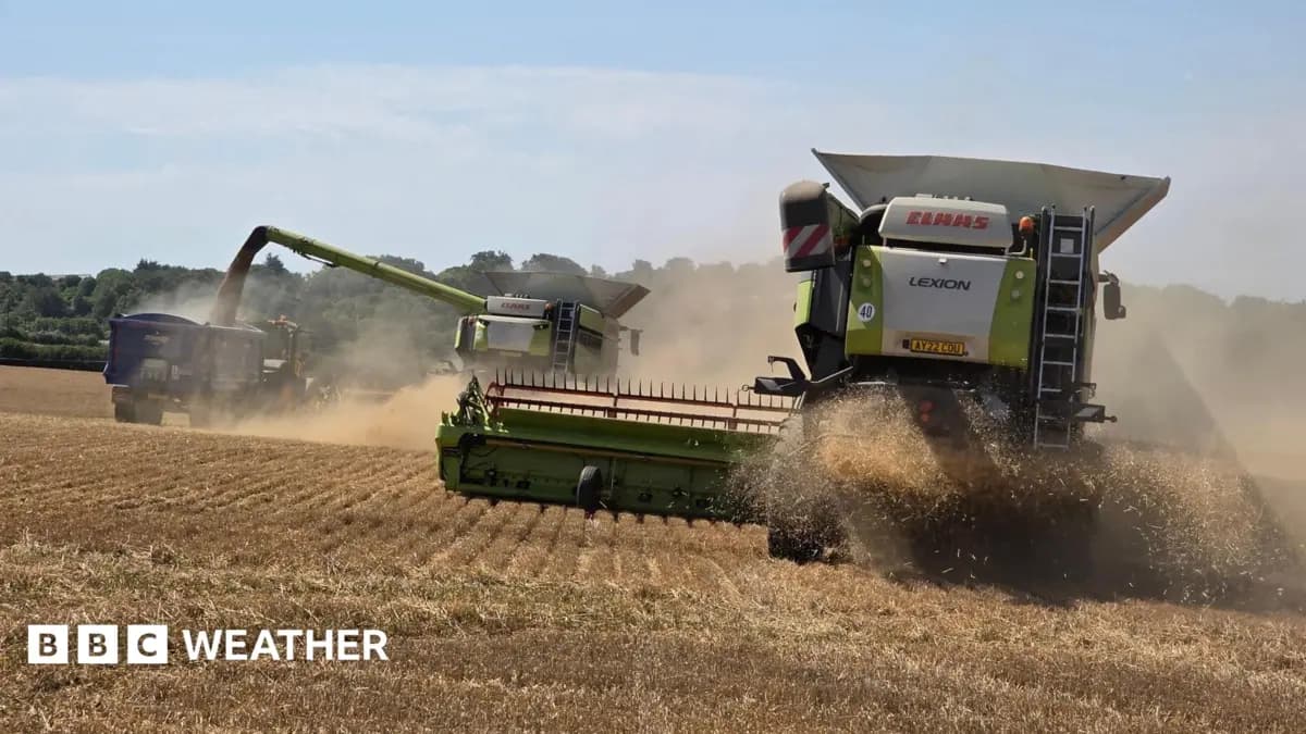 UK Experiences Prolonged Dry Spell, No Significant Rainfall Expected for Seven Days