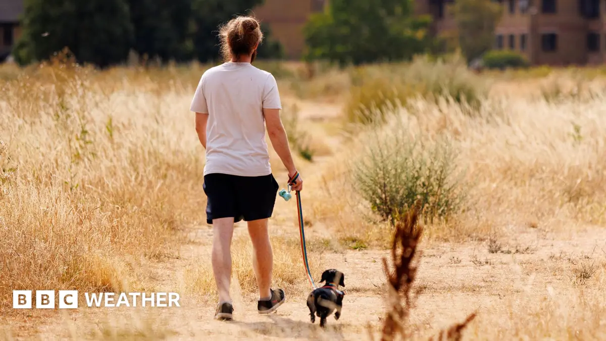 UK Experiences Heat Health Alerts and Torrential Rain as Southern Temperatures Hit 30C