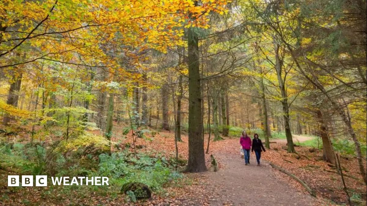 UK Expects Autumn's Coldest Night as Temperatures Drop After Warm Spell