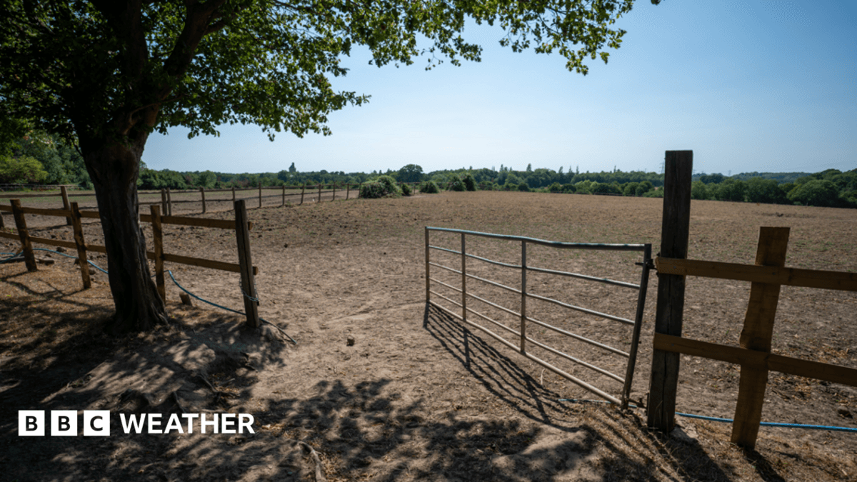 UK Drought Set to Intensify with Limited Rainfall Forecast