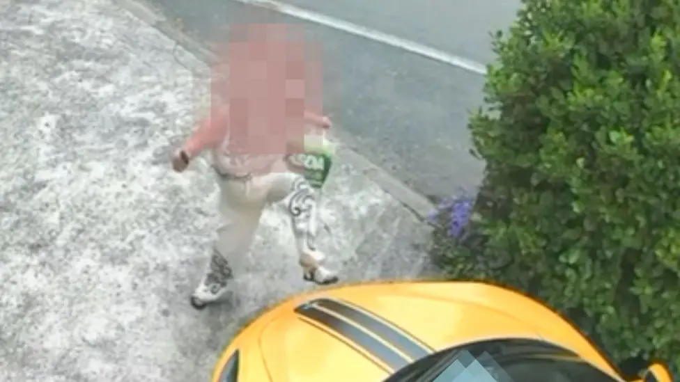 Pembroke Woman Kicks McLaren 570S Supercar on Driveway, Causing £300 Damage