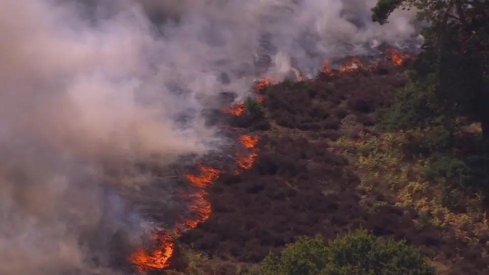 Suffolk Wildfire Destroys Over 200 Football Pitches of Heathland