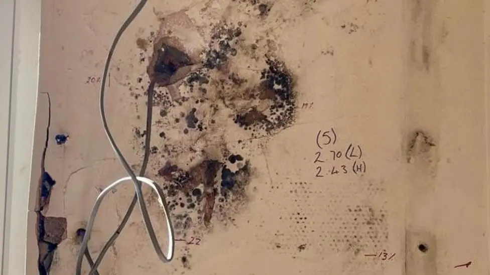 Four Arrested Over Suspected £44 Million Home Insulation Scheme Fraud on Wednesday