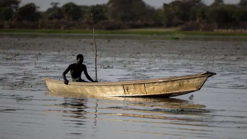 Chad Air Strikes Target Boko Haram, Dozens of Nigerian Fishermen Feared Dead