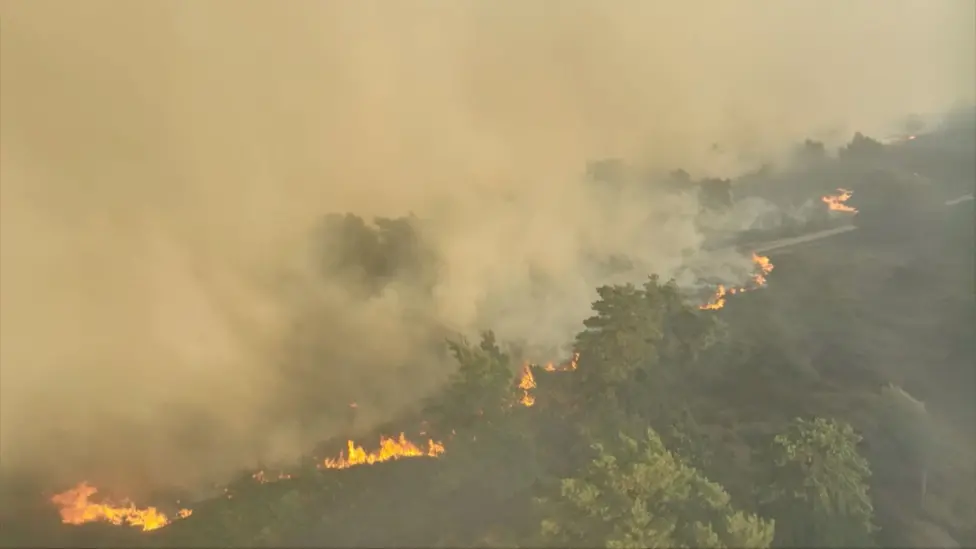 Suffolk Wildfire Declared Major Incident, Thick Smoke Engulfs Coastal Area