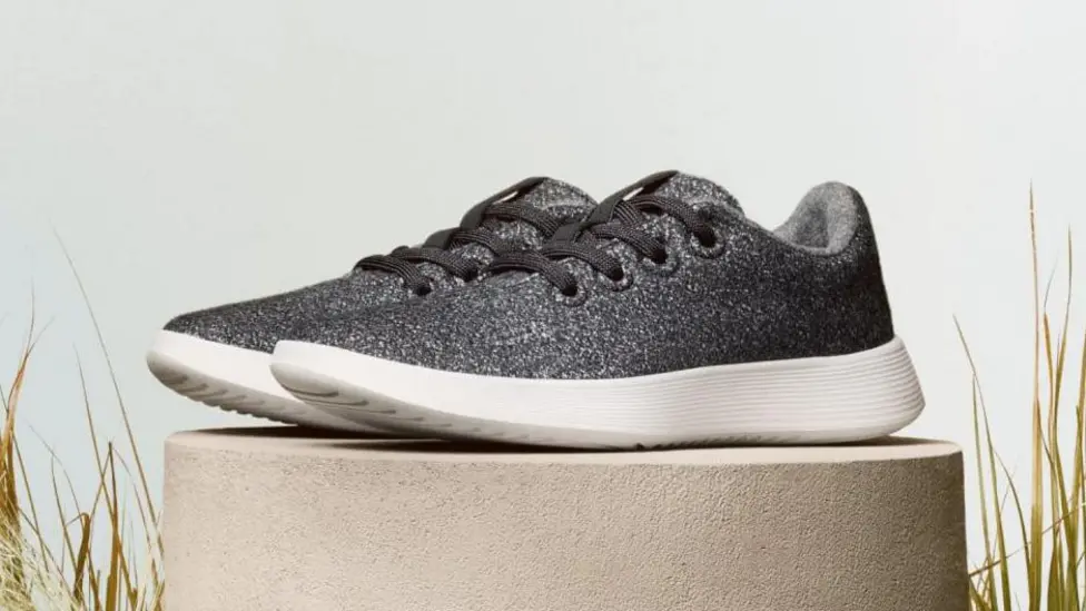 Allbirds Shares Soar After Strategic Pivot to Artificial Intelligence