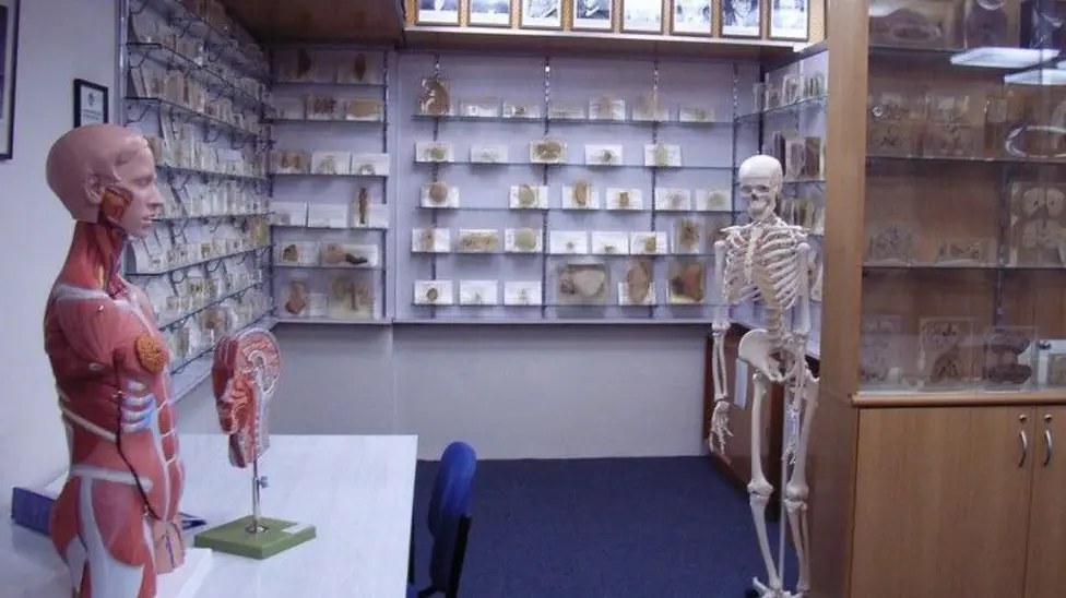 Tasmanian Government Apologises for Decades of Secretly Stolen Body Parts