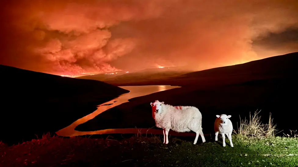 Firefighters Deploy Helicopter as Wildfires Threaten Elan Valley, Wales, Since Sunday
