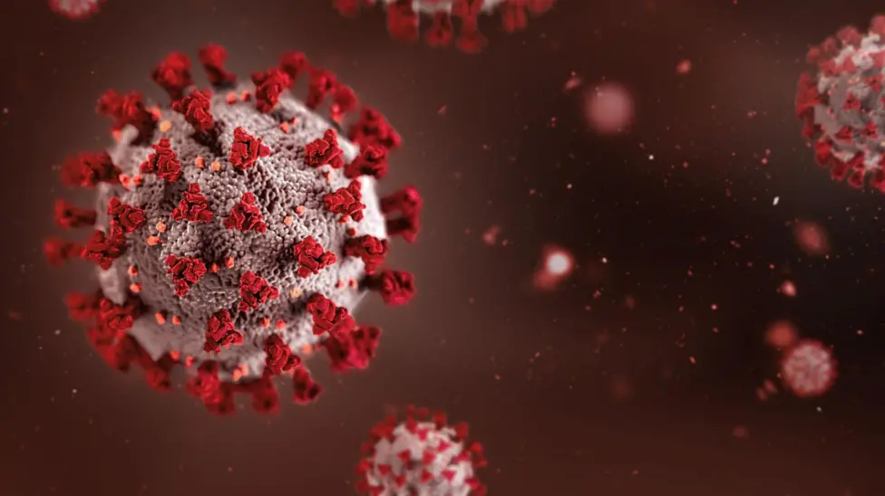 India-Africa Forum Summit Postponed Over Ebola Outbreak in Congo and Uganda