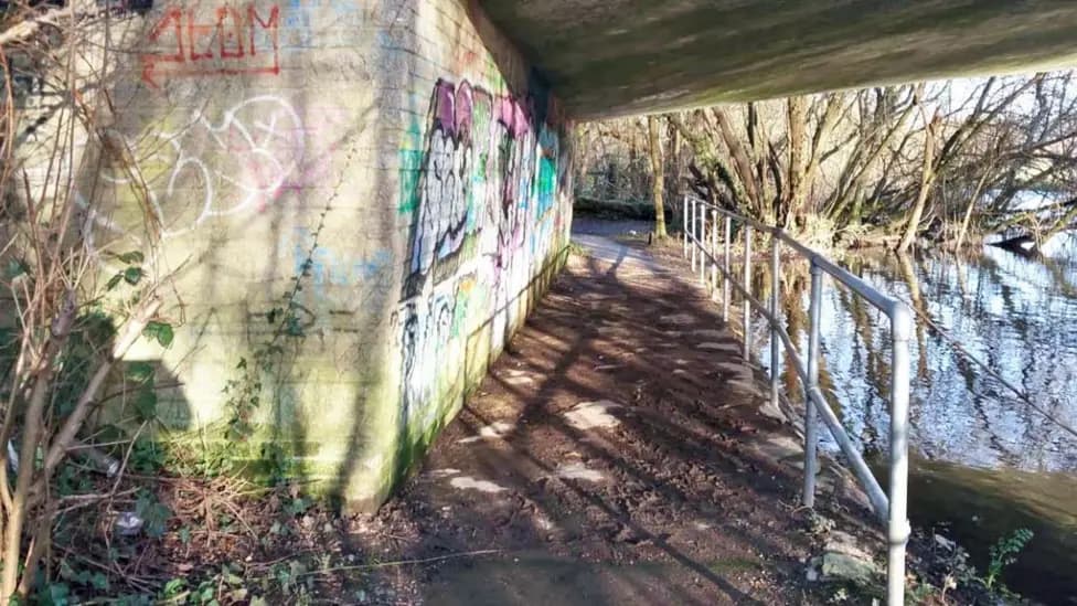 Teenage Rape Victims Denounce Judge's Non-Custodial Sentences in Fordingbridge Case
