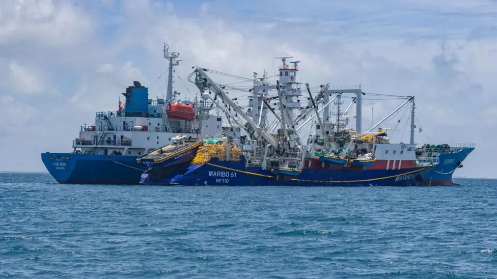 Kiribati Faces $10 Million Annual Loss by 2050 as Tuna Migrate East Due to Warming Pacific