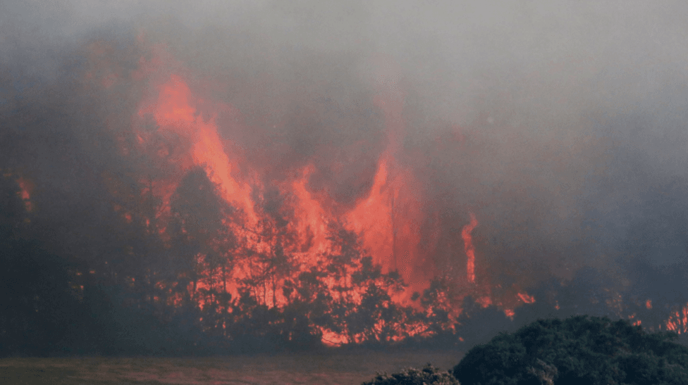 Dava Moor Blaze Classified as UK's First Megafire, Releasing Millennia-Old Carbon