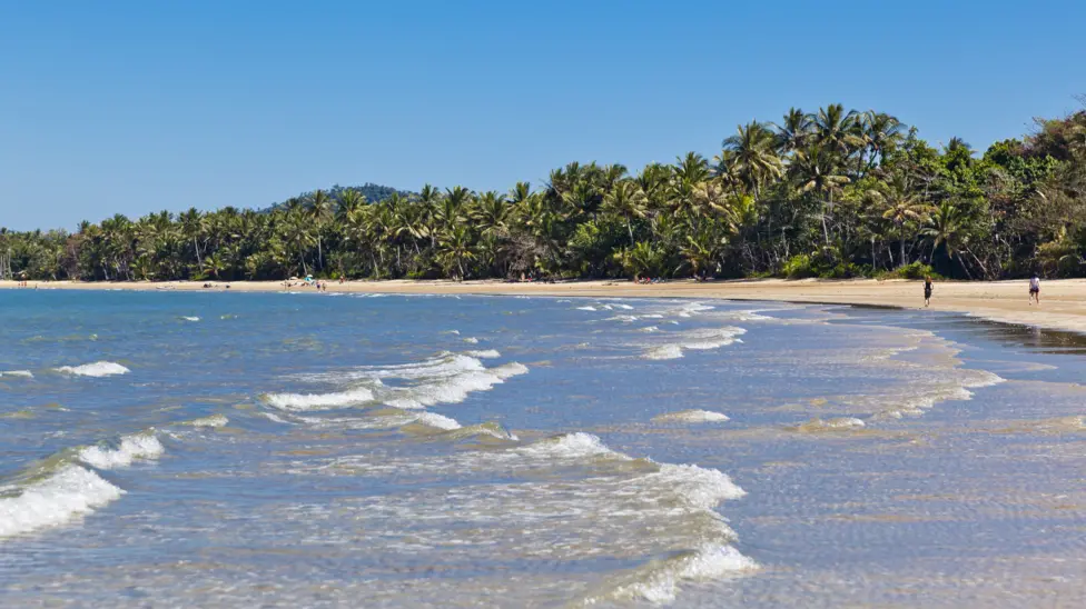 Spearfisherman Dies from Critical Head Injury After Shark Attack Off Queensland Coast