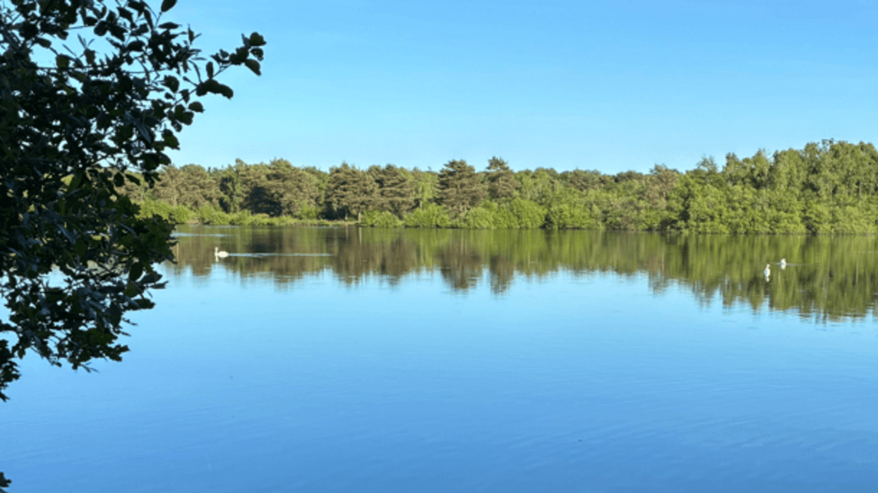 Lincolnshire Police Conduct Search Operation for Missing 15-Year-Old at Swanholme Lakes