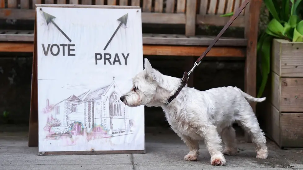 Voters Across UK Bring Dogs to Polling Stations for Election Day Tradition