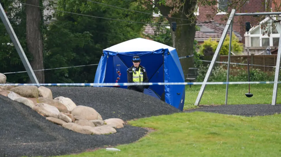 Teenage Boy Dies in Stafford After Falling Tree Strikes Holmcroft Road Incident