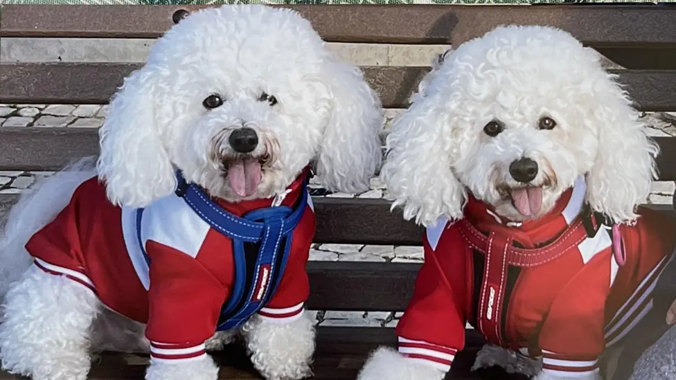 UK Pet Owners Face Steep Costs, Travel Disruptions After EU Passport Scheme Ends on Wednesday