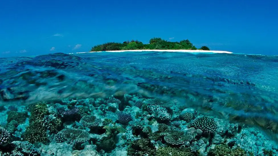 Five Italian Divers Die During Vaavu Atoll Cave Exploration in Maldives